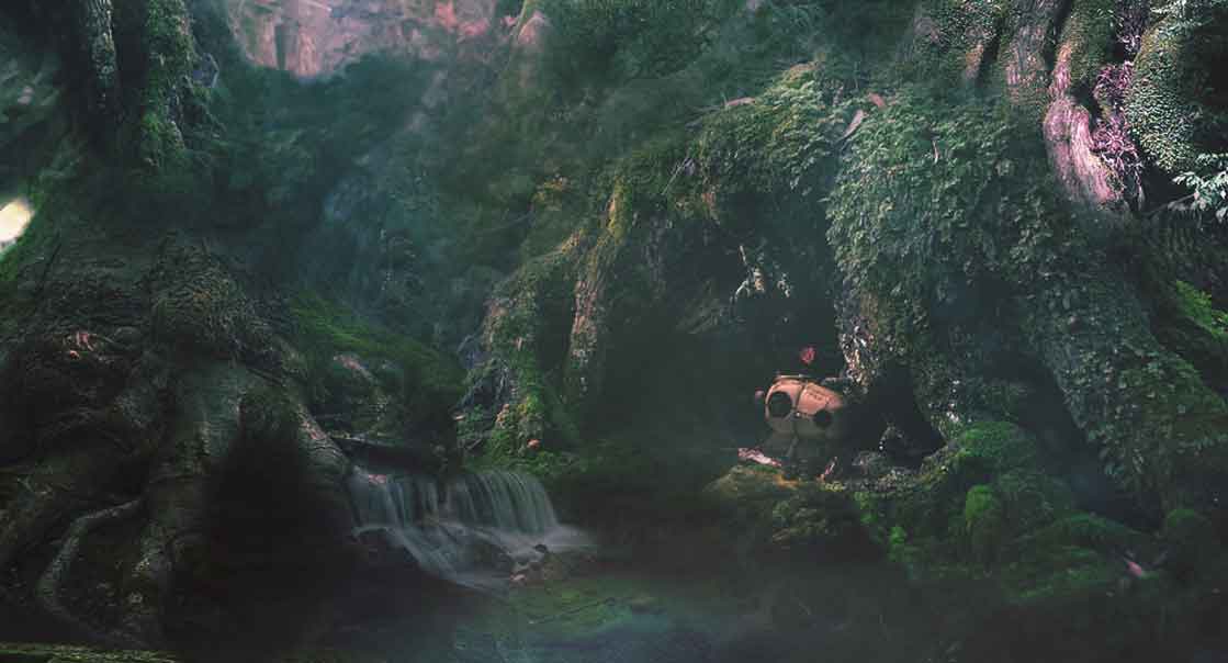 The Rain Garden Images